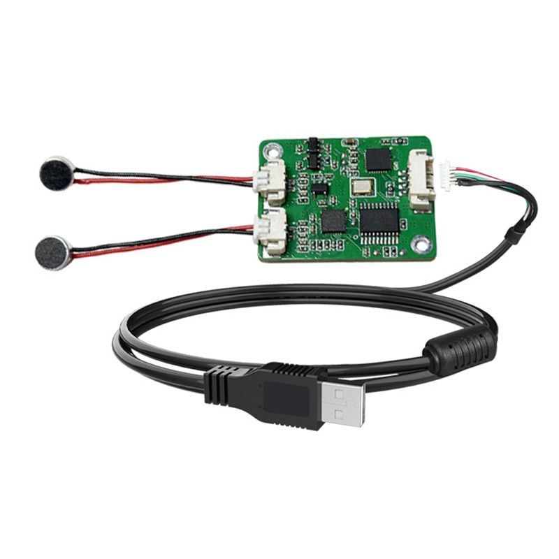 Matrix met dubbele microfoon e - Condenser Microphone Kit recensie en prijs